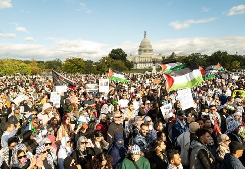 Large crowd of protesters holding Palestinian flags in front of the Capitol building